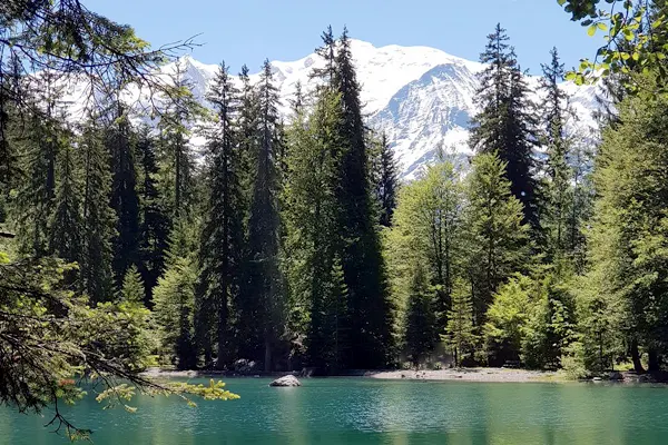Passy le lac vert